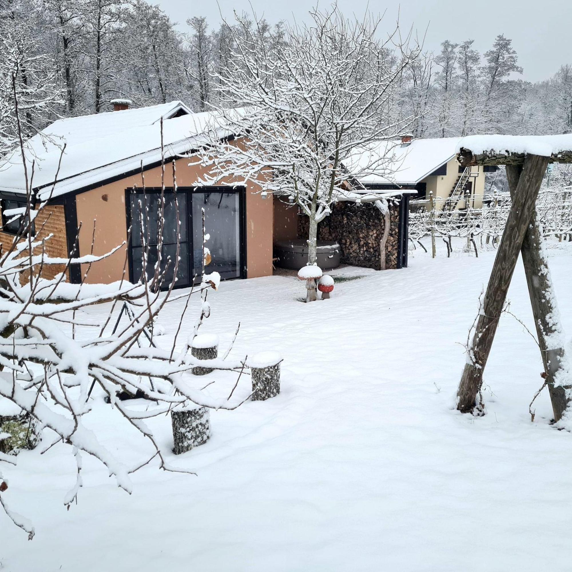 Gozdarjeva Hiska M&K Dobrovnik Exterior foto